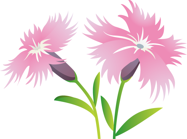 秋 の 花 画像詳細 10位