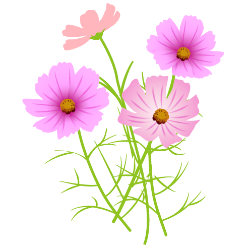秋 の 花 画像詳細 11位