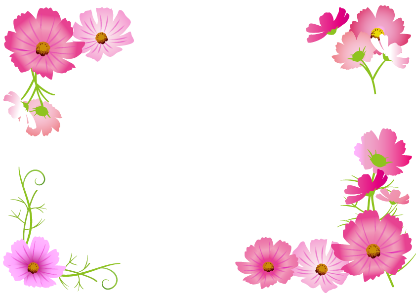 秋 の 花 画像詳細 12位