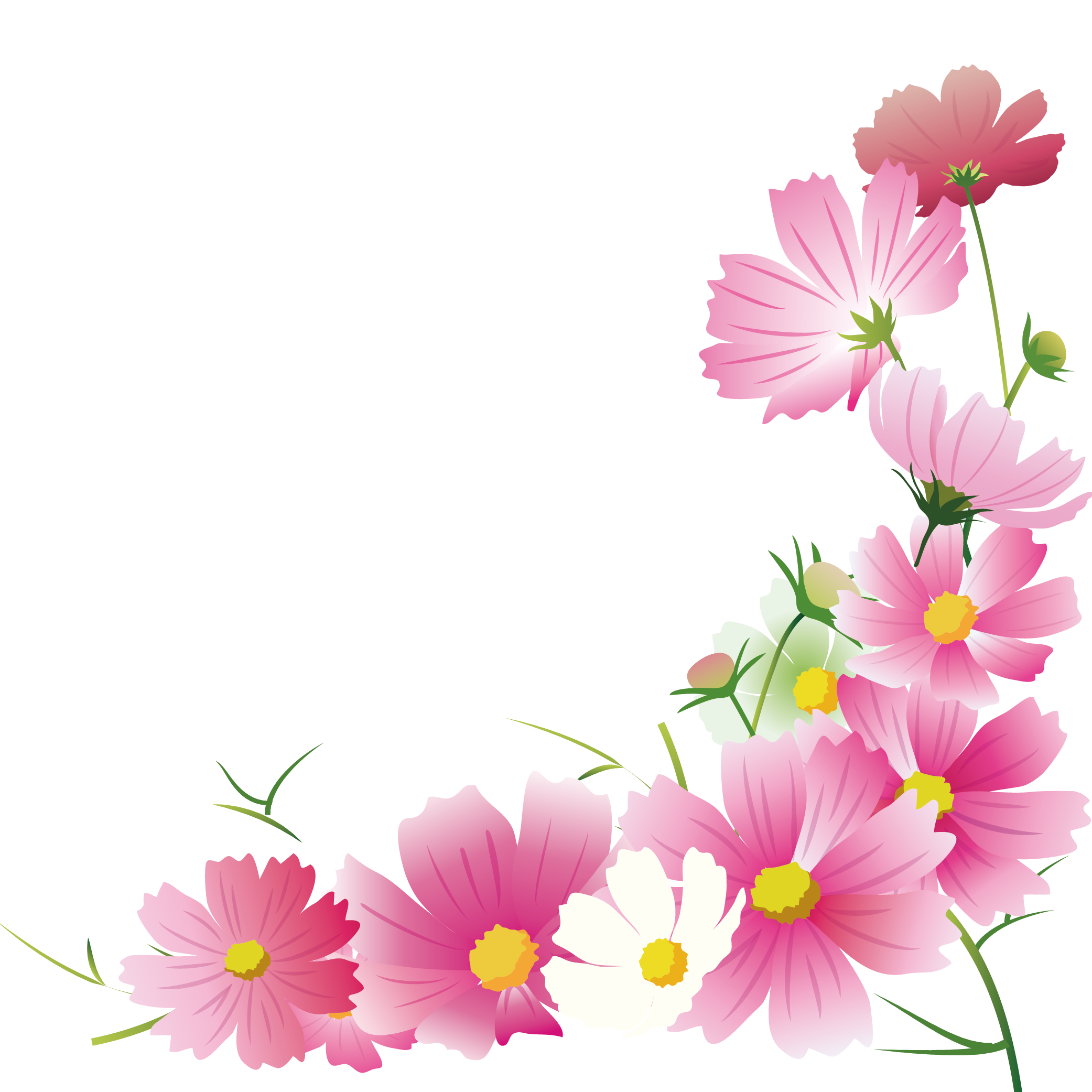 秋 の 花 画像詳細 4位