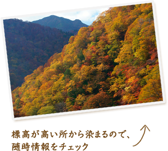 秋 の 風景 写真 無料詳細 6位
