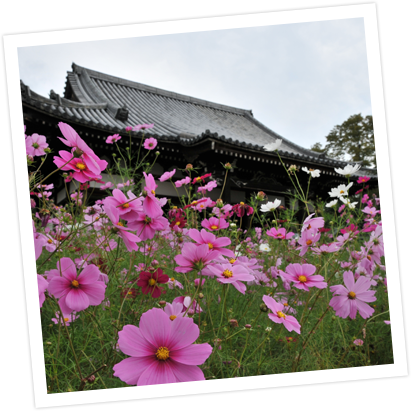 秋 の 風景 画像詳細 8位