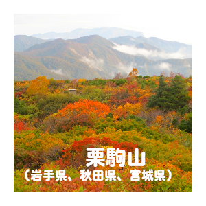 秋 の 風景 画像詳細 10位