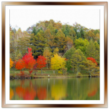 秋 の 風景 画像詳細 6位