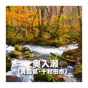 秋 の 風景 画像詳細 7位