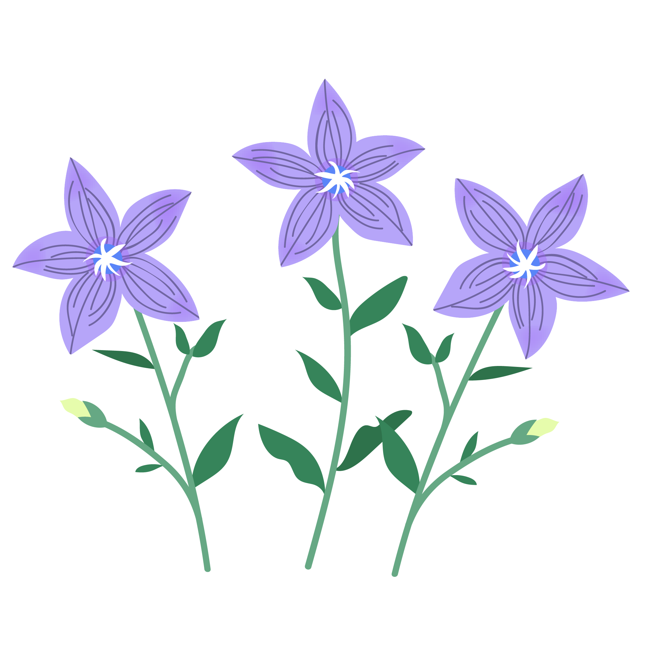 秋 花 イラスト詳細 2位