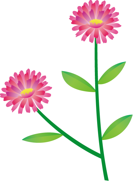 秋 花 イラスト詳細 6位