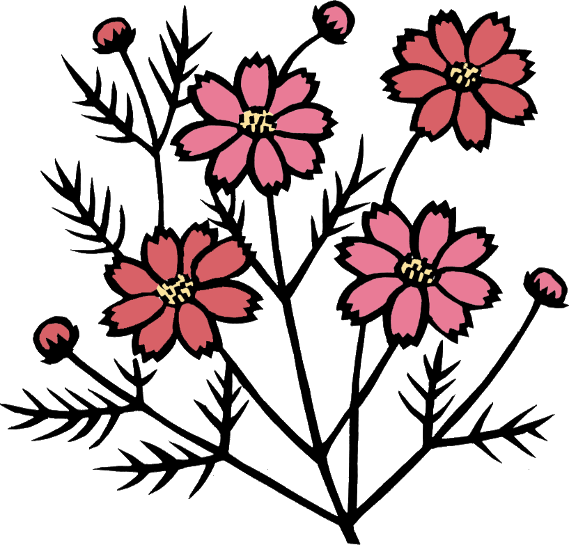 秋 花 イラスト詳細 5位