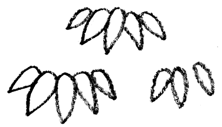竹 イラスト 手書き - KibrisPDR