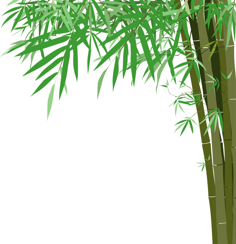 竹林 イラスト - KibrisPDR