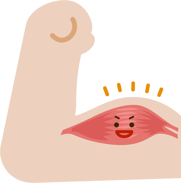 筋肉 イラスト フリー詳細 4位
