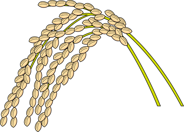 米 の イラスト詳細 6位