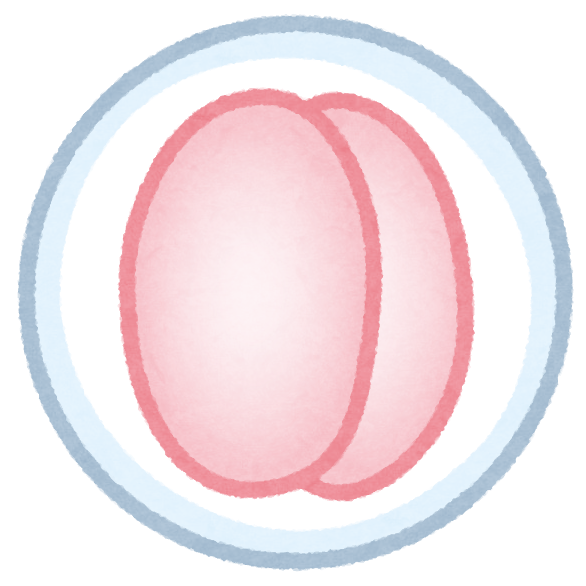 精子 イラスト詳細 9位