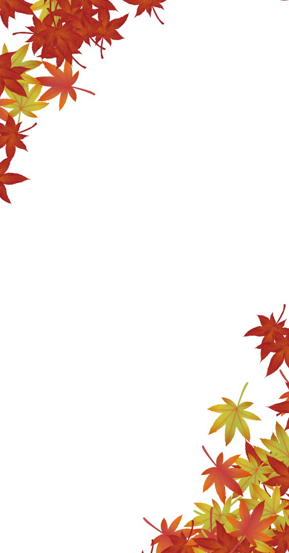 紅葉 フレーム詳細 7位