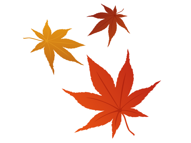 紅葉 絵 - KibrisPDR