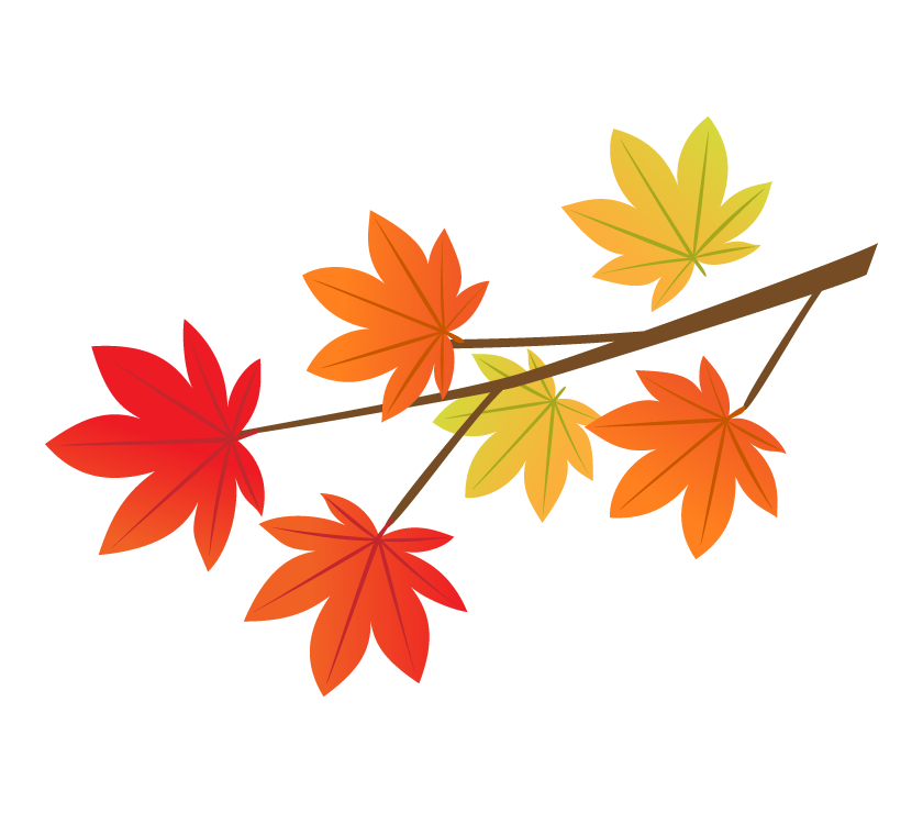 紅葉 絵詳細 7位
