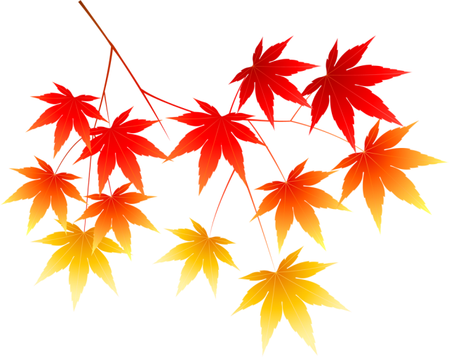 紅葉 絵詳細 3位