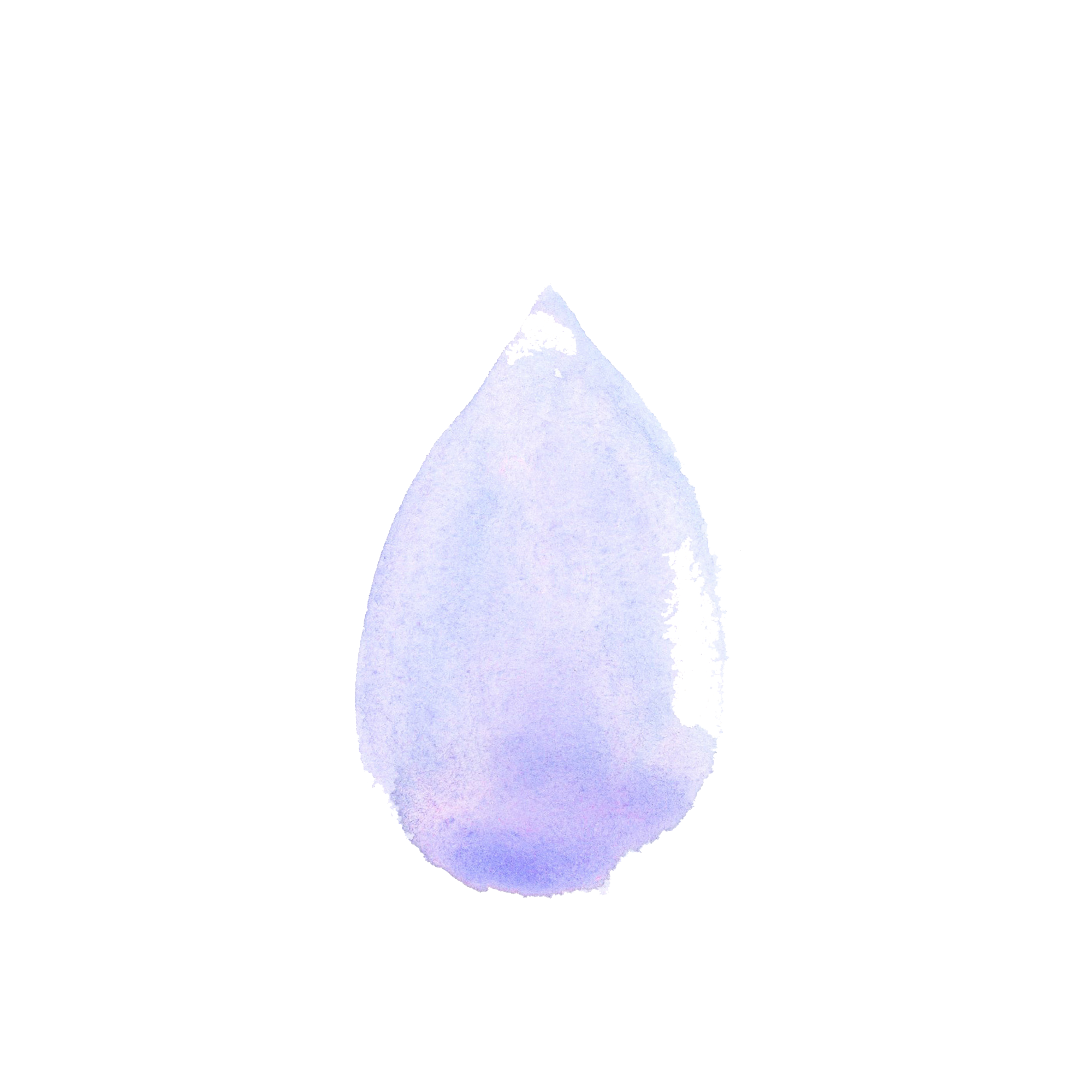 紫 ヘッダー - KibrisPDR