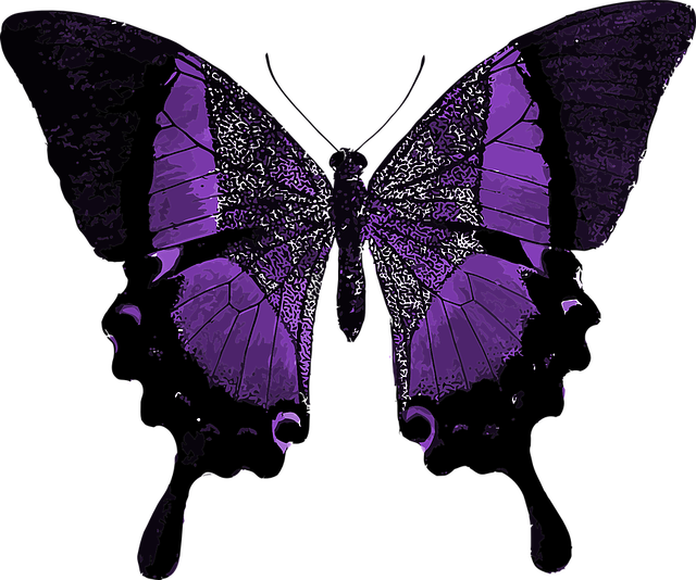 紫 蝶々 - KibrisPDR