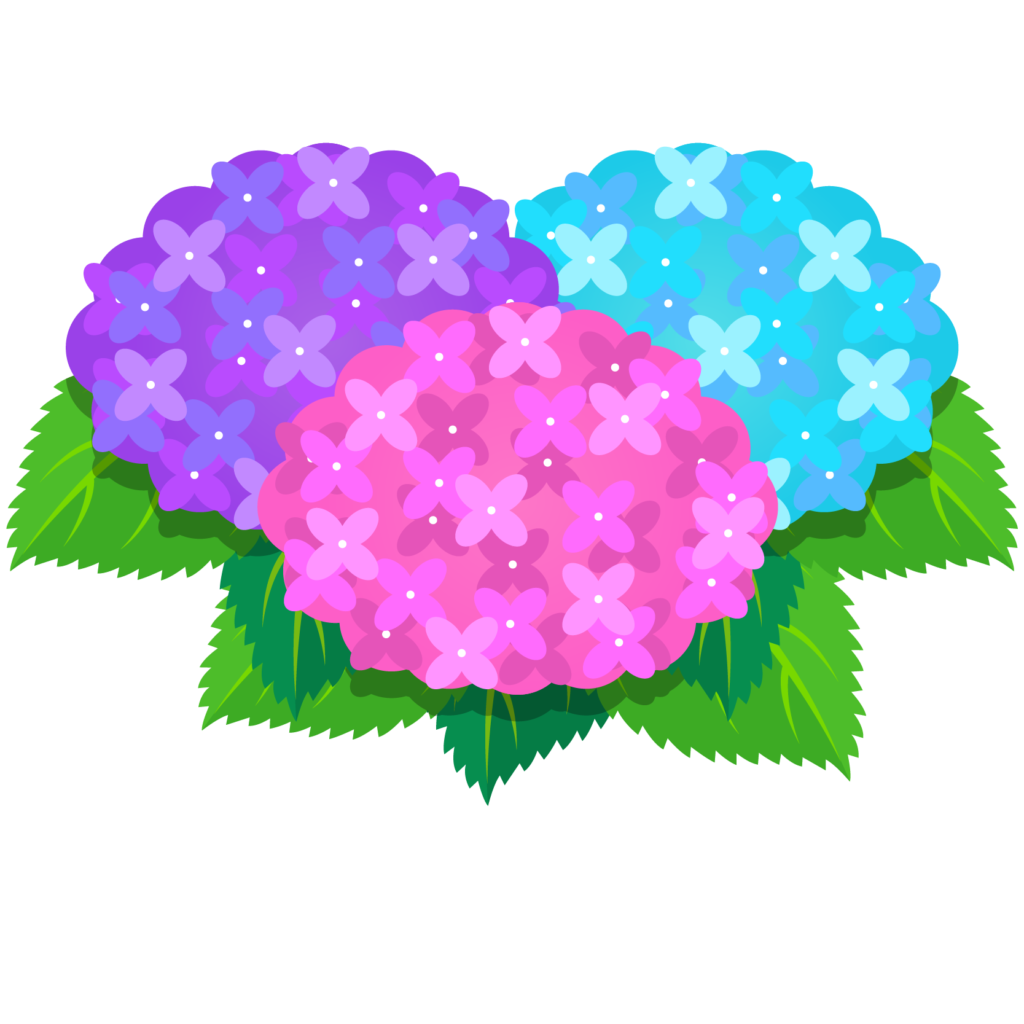 紫陽花 フリー詳細 2位