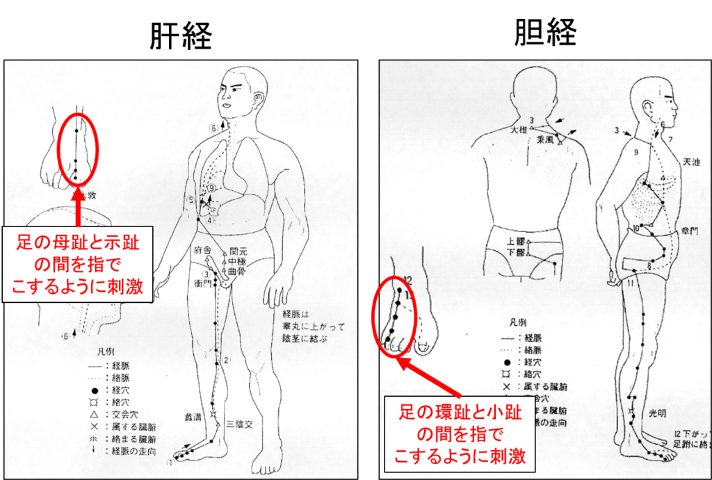 経絡 図 フリー詳細 5位