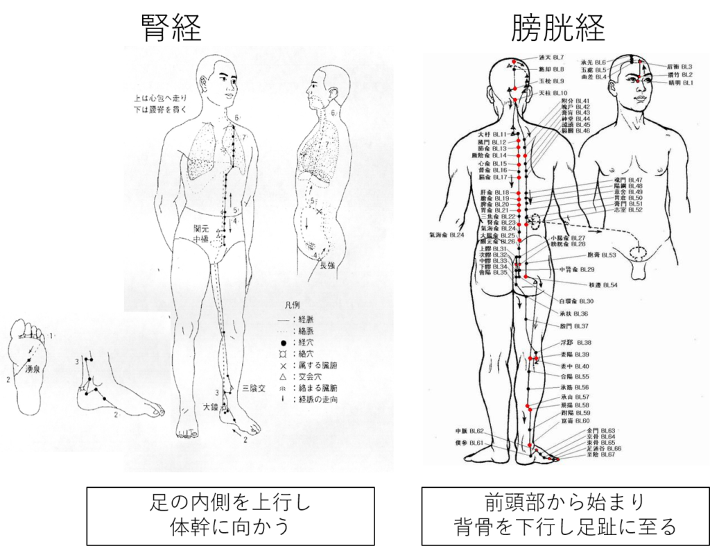 経絡 図 フリー詳細 9位