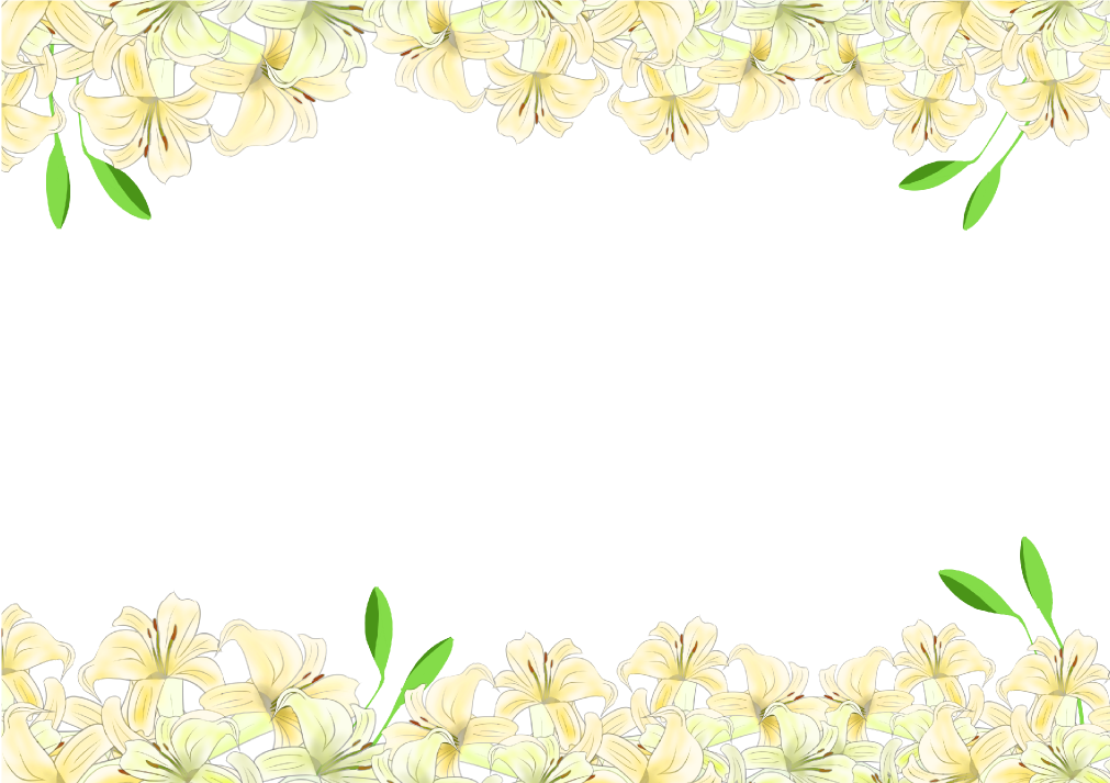 綺麗 背景詳細 5位