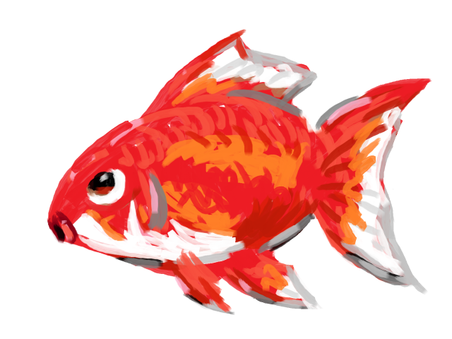 綺麗 金魚 イラスト詳細 10位