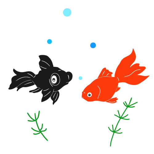 綺麗 金魚 イラスト詳細 13位