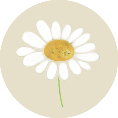 綿花 イラスト詳細 4位