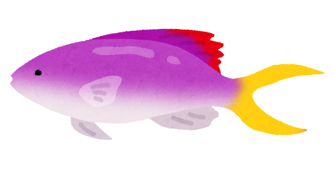 緑 の 魚詳細 12位