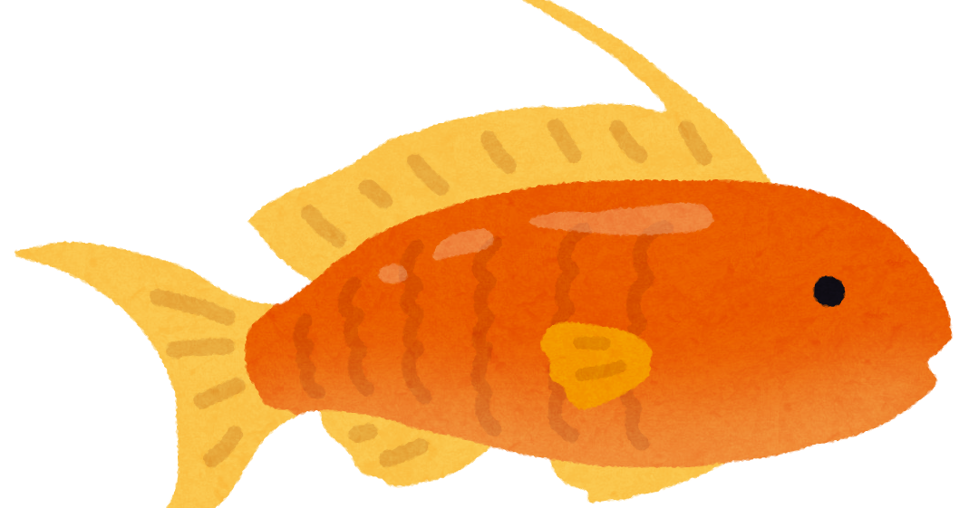 緑 の 魚詳細 7位