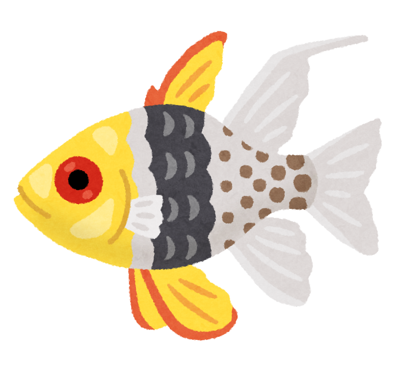 縞 模様 魚詳細 3位