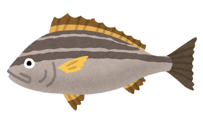 縞 模様 魚詳細 4位