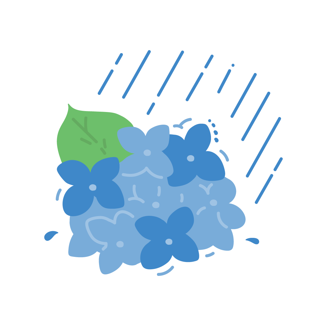 美しい 雨 の 画像詳細 9位