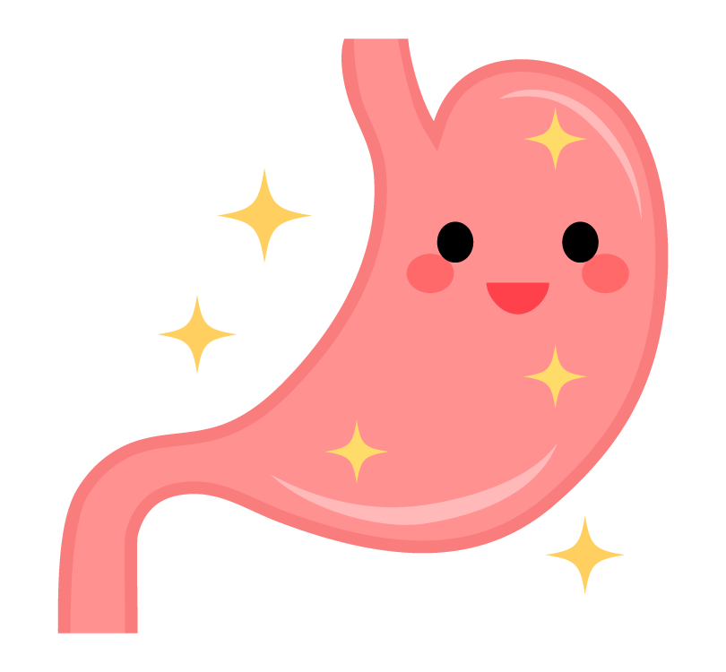 胃 の イラスト詳細 2位
