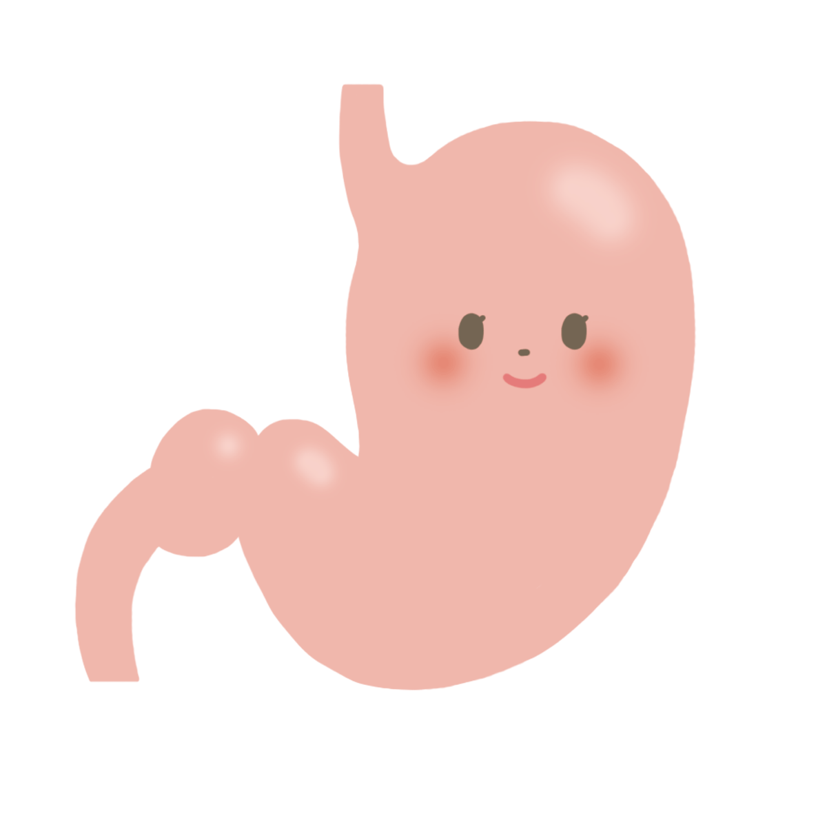 胃 の イラスト詳細 6位