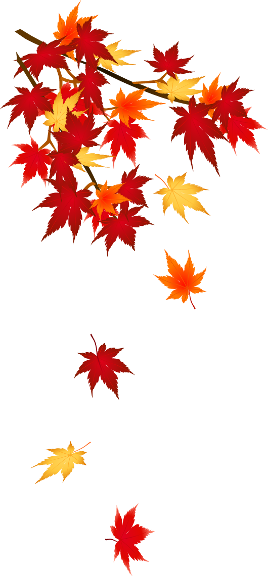 背景 紅葉 イラスト詳細 7位