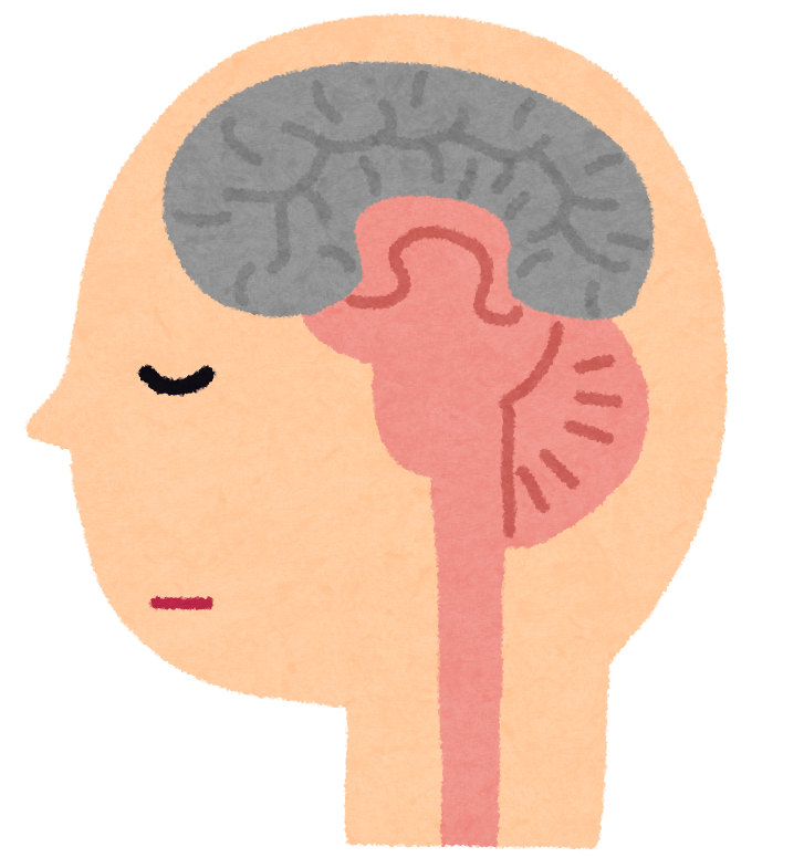 脳 フリー 素材詳細 3位