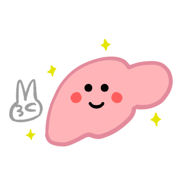 臓器 イラスト かわいい詳細 8位