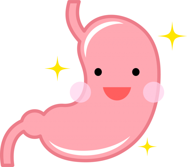 臓器 イラスト かわいい詳細 9位