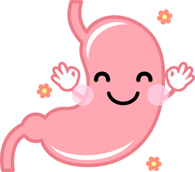 臓器 イラスト かわいい詳細 4位