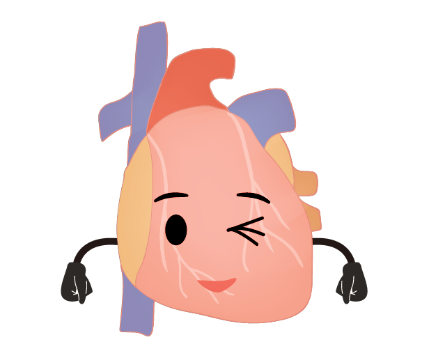 臓器 イラスト かわいい詳細 5位