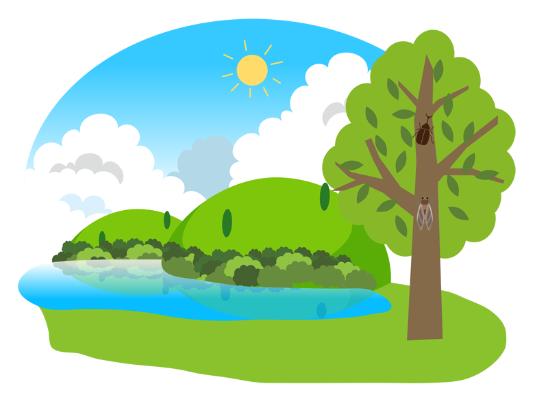 自然 背景 イラスト詳細 8位