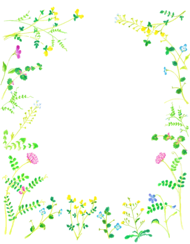 花 イラスト フレーム詳細 8位