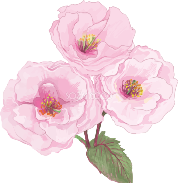 花 イラスト 綺麗詳細 2位