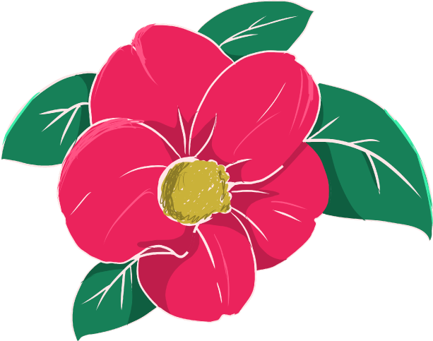 花 イラスト 綺麗詳細 6位