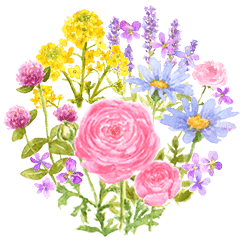 花 可愛い 画像詳細 2位