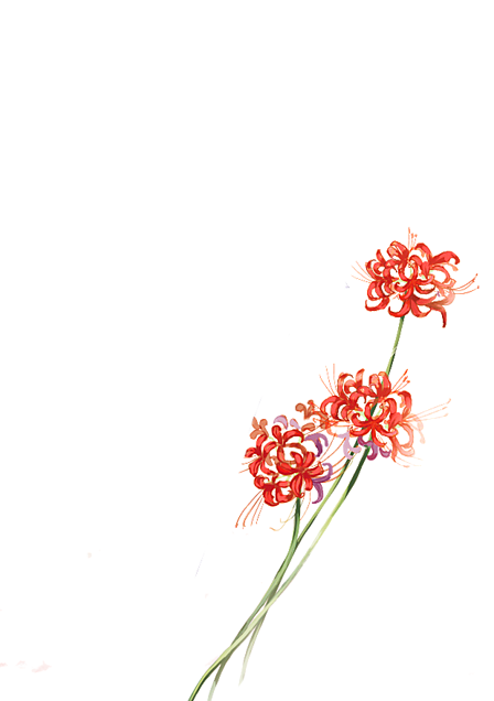 花 壁紙 高 画質詳細 6位