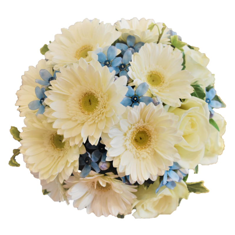 花 無料 画像 - KibrisPDR
